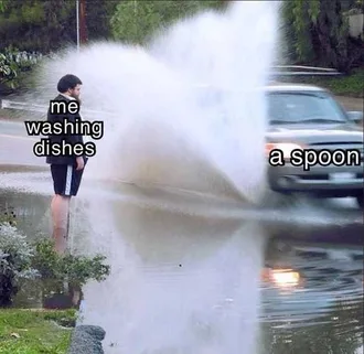 Funny Me Washing Dishes