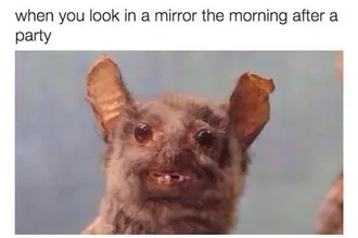 Funny Woke Up Drunk