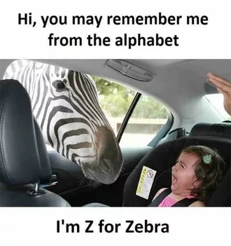 Funny Z Zebra