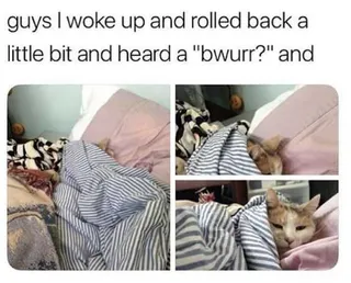 Funny Bwurr