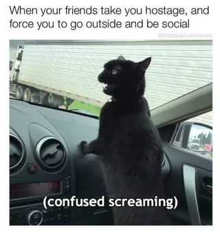 Funny Confused Screaming