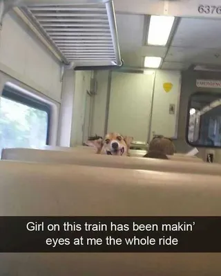 Funny Girl Making Eyes