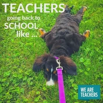 Meme Of Dog Lying In Grass With Leash Pulled Taught Captioned Teachers Going Back To School Like...