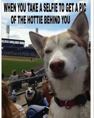 Funny Selfie Hot