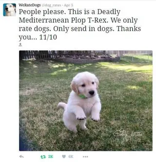 Funny Send In Dogs