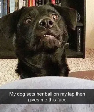 Funny Sets Ball
