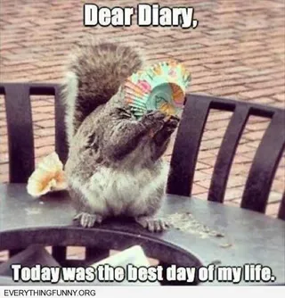 Funny Today Best Life