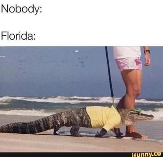 Funny Florida Nobody