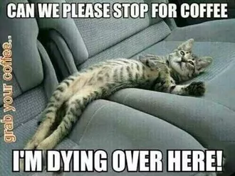 Funny Coffee Dying