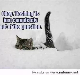 Funny Dashing Snow