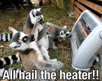 Funny Heater Hail