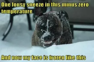 Funny Sneeze Minus