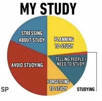 Pie Chart Of My Study Student Meme