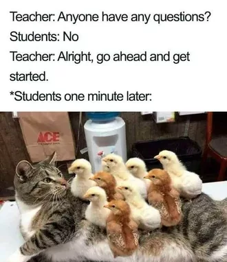 Funny Student One Minute