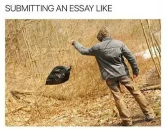 Funny Submitting Essay Like