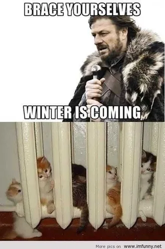 Funny Winter Coming