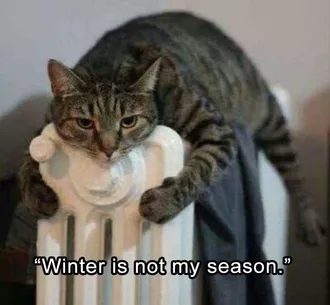 Funny Winter Not Season