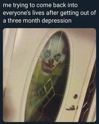 Meme 3 Month Depression