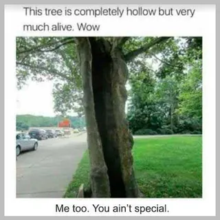 Meme-Hollo-Winside Meme Hollo Winside