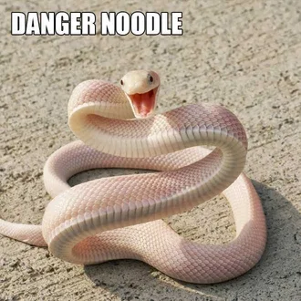 Animal-Danger-Noodle Animal Danger Noodle