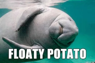 Animal-Floaty-Potato Animal Floaty Potato