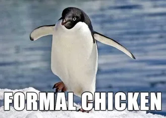 Animal-Formal-Chicken Animal Formal Chicken