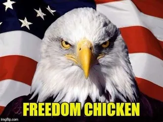 Animal-Freedom-Chicken Animal Freedom Chicken