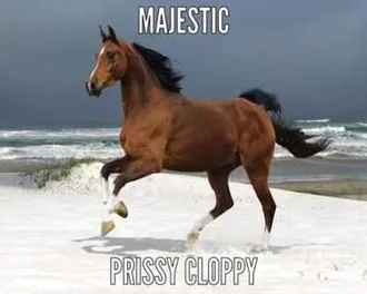 Animal-Majestic-Prissy Animal Majestic Prissy