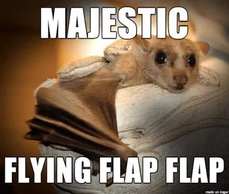 Animal-Majestic Animal Majestic