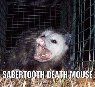 Animal-Sabermouse Animal Sabermouse
