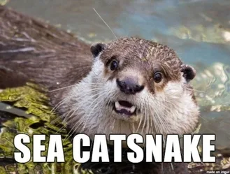 Animal-Sea-Catsnake Animal Sea Catsnake