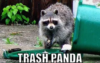 Animal-Trash-Panda Animal Trash Panda