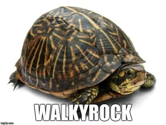 Animal-Walky-Rock Animal Walky Rock