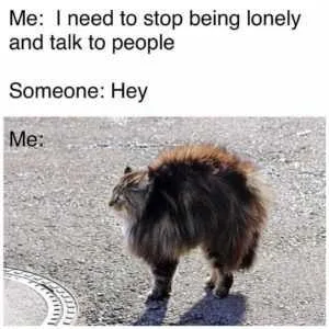 Funny-Stop-Being-Lonely Funny Stop Being Lonely