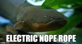 Nope-Rope Nope Rope
