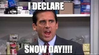 Funny Declare Snow Day