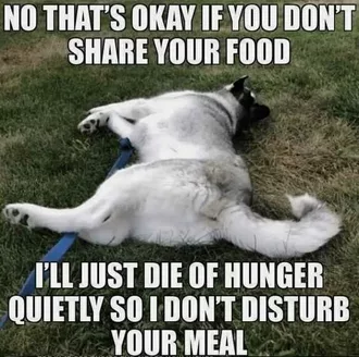 Funny Die Of Hunger