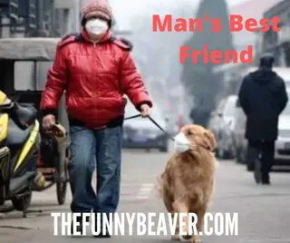 Funny-Face-Mask-Mans-Best-Friend Funny Corona Virus Memes Man'S Best Friend Meme