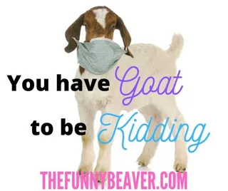 Funny-Face-Mask-Meme-Goat-To-Be-Kidding Funny Corona Virus Memes Goat To Be Kidding Meme
