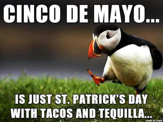 16E7390Dd435D8104Dac5F5327B003Ea Cinco De Mayo Memes Cinco De Mayo Meme Showing The Similarities Between Cinco De Mayo And St. Patrick'S Day