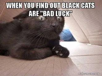 Cat-Are-Bad-Luck Cat Are Bad Luck