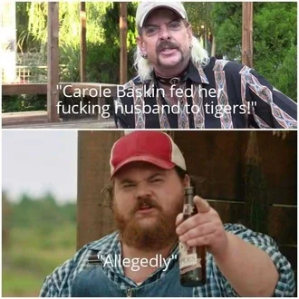 Meme-Allegedly Meme Allegedly