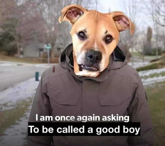 Meme-Called-Good-Boy Meme Called Good Boy