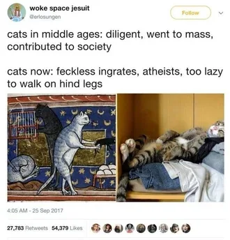 Meme-Cat-Too-Lazy Meme Cat Too Lazy