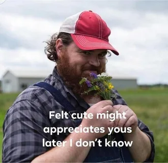 Meme-Felt-Cute Meme Felt Cute