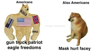 Meme Patriot