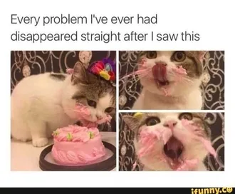 Meme-Seen-This Meme Seen This