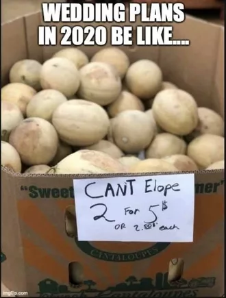Cant Elope Wedding Plans In 2020 Meme