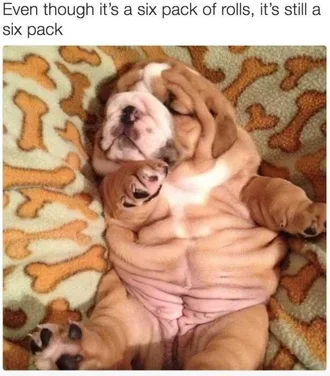 Dog-6-Pack Picture Of A Cute Dog Showing Lots Of Extra Belly Skin