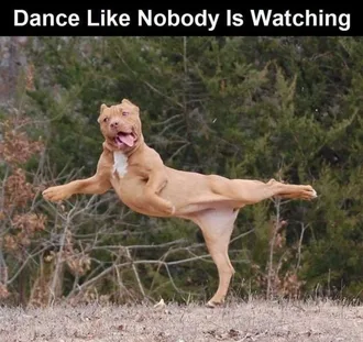 Dog-Dance-Like-No-One Cute Picture Of A Terrier Dog Doing A Warrior 3 Pose With Tongue Sticking Out